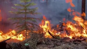 Park Fire grows to over 370,000 acres