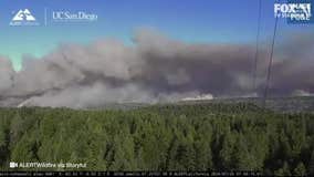 Man arrested for pushing burning car down hill, sparking massive wildfire near Chico, California