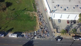 450 lbs of pig waste illegally dumped at site in Gardena