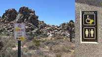 Tourists cited for shooting paintballs at Joshua Tree National Park